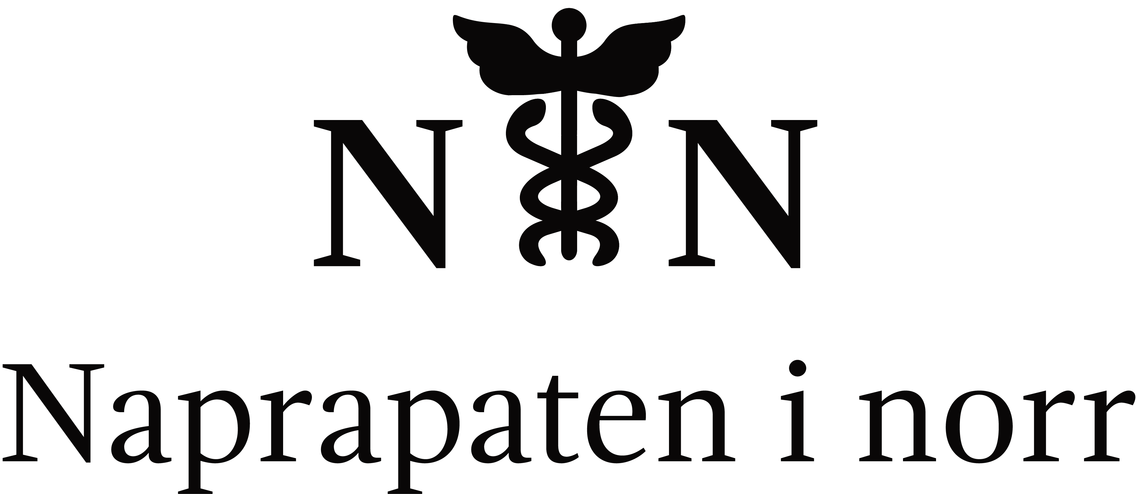Naprapaten i Norr Naprapaten i Norr